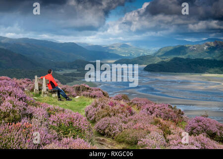 Die mawddach Estuary gesehen vom Panorama Spaziergang im Sommer, Snowdonia National Park, Gwynedd, Wales, UK MODEL RELEASED Stockfoto