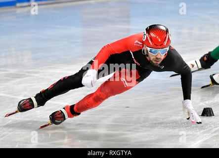 ISU-Short Track Wm am 8. März 2019 in der Arena Armeec in Sofia. Credit: Soenar Chamid/SCS/LBA/Alamy leben Nachrichten Stockfoto