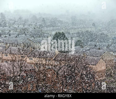 Glasgow, Schottland, UK, 10. März, 2019 UK Wetter: Frühling sonniges Wetter gestern gab den Weg zu den versprochenen Schneefall als Glaswegians wachte auf schwere Fälle und Weihnachten Szenen im grünen Vorort von Knightswood. Kredit Gerard Fähre / alamy Leben Nachrichten Stockfoto