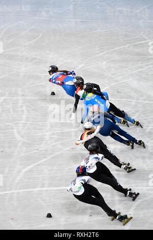 Sofia, Bulgarien. 9. März 2019. 09-03-2019 SHORTTRACK: ISU WORLD SHORT TRACK SKATING CHAMPIONSHIPS: SOFIA illustratief Foto: SCS/Soenar Chamid Credit: Lba Co.Ltd./Alamy leben Nachrichten Stockfoto