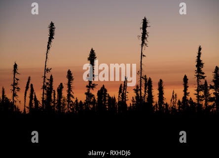 Ortstyp de Baie-James, Eeyou Istchee James Bay, Quebec, Kanada Stockfoto