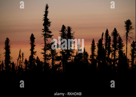 Ortstyp de Baie-James, Eeyou Istchee James Bay, Quebec, Kanada Stockfoto