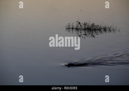 Ortstyp de Baie-James, Eeyou Istchee James Bay, Quebec, Kanada Stockfoto