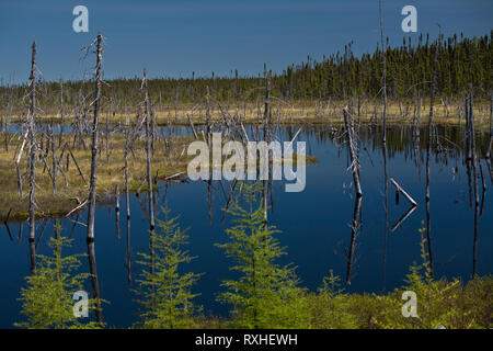 , Eeyou Istchee James Bay, Quebec, Kanada Stockfoto