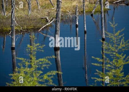 , Eeyou Istchee James Bay, Quebec, Kanada Stockfoto