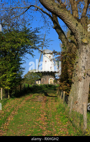 Die runde Ziegel Grist Mill (De Koe - Die Kuh) von 1907 in Veere Niederlande an einem schönen Tag im Herbst Stockfoto