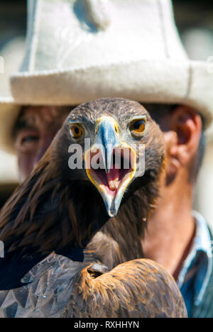 Eagle Hunter Saginbai und einer seiner Adler in Bokonbaevo Dorf an den Ufern des Sees Issyk Kul in Kirgisistan. Jagd mit Adlern ist ein traditionelles Stockfoto