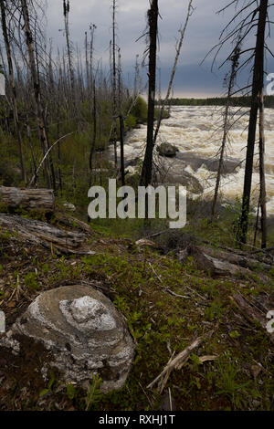 Rupert, Eeyou Istchee James Bay, Quebec, Kanada Stockfoto