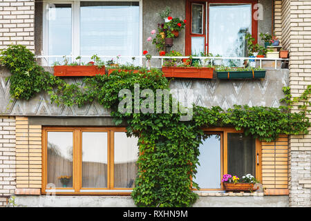 Der Fassade eines Hochhauses. Balkon bepflanzt mit Blumen. Grüne Wand von Kletterpflanzen. Stockfoto