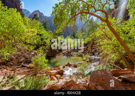 Zion Nationalpark, Utah Stockfoto