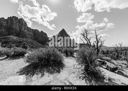 Zion Nationalpark, Utah Stockfoto