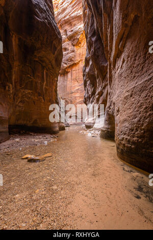 Zion Nationalpark, Utah Stockfoto