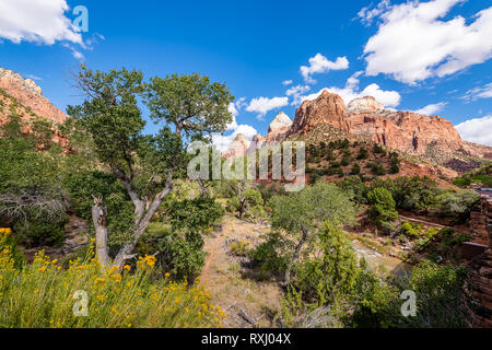 Zion Nationalpark, Utah Stockfoto