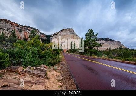 Fahren sie durch den Zion National Park Stockfoto