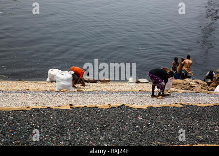 Aus recyceltem Kunststoff chips Trocknen auf der Bank der Buriganga Fluss in Dhaka, Bangladesh. Stockfoto