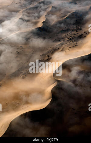 Nebel über die Great Sand Sea von Namibia sitzen. Stockfoto