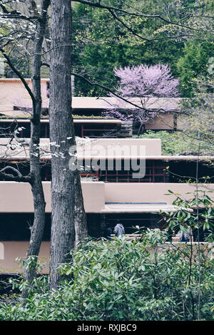 Fallingwater Haus entworfen von Frank Lloyd Wright Stockfoto