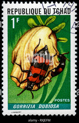 Poststempel Stempel aus dem Tschad im Insekten Serie 1972 ausgestellt Stockfoto