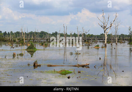 Neak Pean in Kambodscha Stockfoto