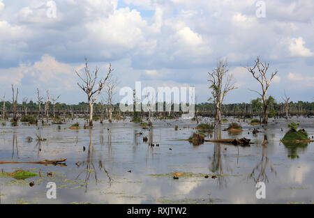 Neak Pean in Kambodscha Stockfoto