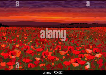 Helle Mohnfeld mit Sonnenuntergang Himmel Vector Illustration Stock Vektor