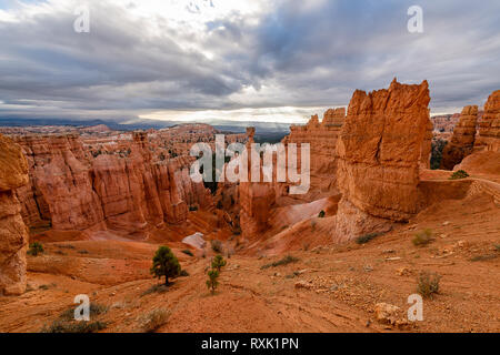 Bryce Canyon Nationalpark Stockfoto