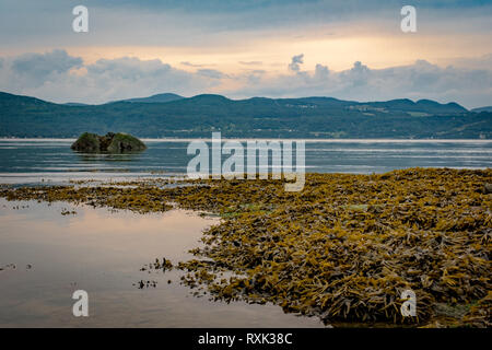 Abendlicht auf St. Lawrence River, in der Charlevoix Hügel von Aux Coudres Island, Provinz Quebec, Kanada Stockfoto