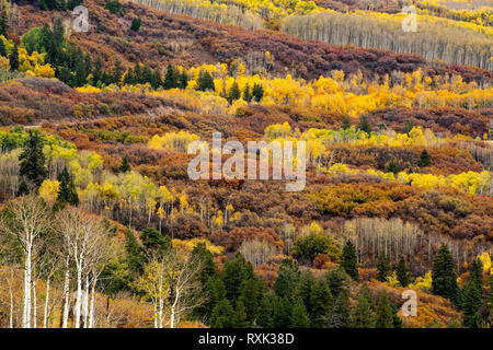 Kebler, Crested Butte, Colorado, USA Stockfoto