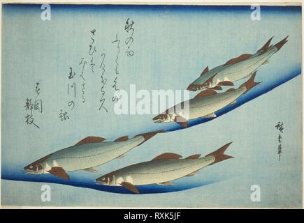 Bachforelle. Utagawa Hiroshige?? ??; Japanisch, 1797-1858. Datum: 1827-1849. Abmessungen: 25,6 x 37,2 cm. Farbe holzschnitt; Oban. Herkunft: Japan. Museum: Das Chicago Art Institute. Stockfoto