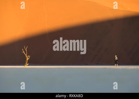 Eine Frau prüft ein Toter camelthorn Baum mit einem Wanderstock und Kamera im Deadvlei, Sossusvlei, Namibia. Stockfoto