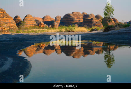 Piccinini Creek und Bungle Bungles, Piccinini Creek und Bungle Bungles, eine einzigartige Bergkette im Purnululu National Park. Welterbe in der East Kimberley Region von Western Australia Stockfoto