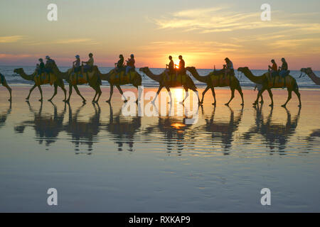 Kamel Zug am Strand, Cable Beach, Broome, Western Australia, touristische Kamelritt. Stockfoto