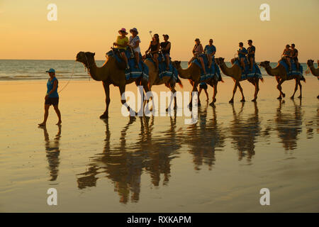 Kamel Zug am Strand, Cable Beach, Broome, Western Australia, touristische Kamelritt. Stockfoto