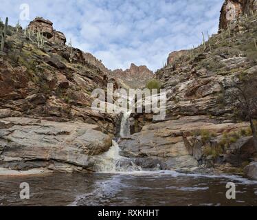 Sieben Fälle, am Ende von Bear Canyon Trail in Tucson, Arizona Stockfoto