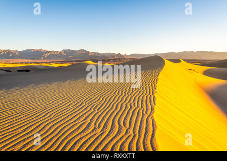 Morgen Wanderung in den Mesquite flachen Sand Dünen Stockfoto