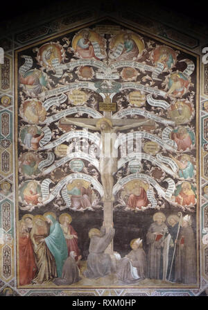 Kreuzigung dargestellt als Baum des Lebens, Fresko, Taddeo Gaddi (1290-1366), ex Refektorium, der Basilika von Santa Croce in Florenz Stockfoto