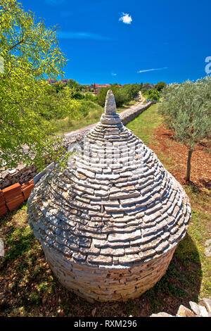 Olive Tree Feld und traditionellen istrischen Kazun Hütte aus Stein, Region Istrien Kroatien Stockfoto