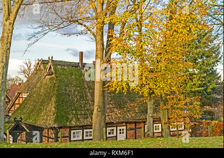 Bauernhaus in Salzhausen (Niedersachsen); Bauernhof in Salzhausen (Niedersachsen Stockfoto