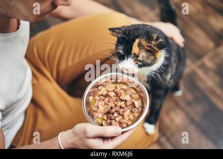 Das häusliche Leben mit Haustier. Mann hält Schüssel mit Fütterung für seine hungrige Katze. Stockfoto