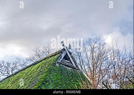 Bauernhaus in Salzhausen (Niedersachsen); Bauernhof in Salzhausen (Niedersachsen Stockfoto