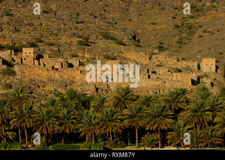 Oasis und kasbah im Al Hajar Berge. Oman Stockfoto