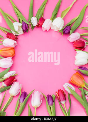 Frühling Tulpen auf rosa Hintergrund Stockfoto