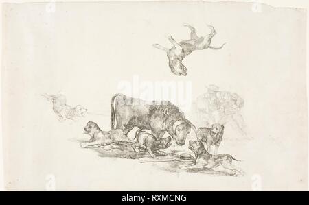 Stier durch Hunde angegriffen. Francisco José de Goya y Lucientes; Spanisch, 1746-1828. Datum: 1824-1825. Abmessungen: 198 x 315 mm. Auf Elfenbein webte Papier Lithographie. Herkunft: Spanien. Museum: Das Chicago Art Institute. Stockfoto