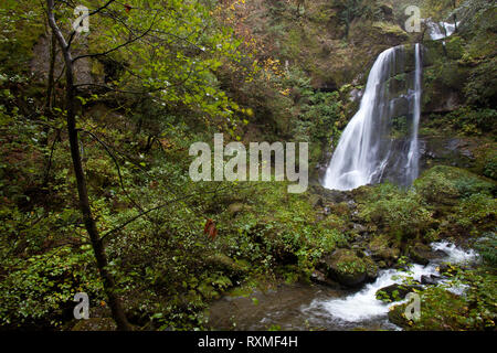 Elk Creek Falls, Coos County, Oregon, USA Stockfoto