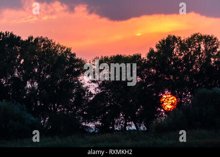 Sonnenuntergang mit Sonne unten kommen einige Bäume Silhouette und ein schön gefärbten Himmel Stockfoto
