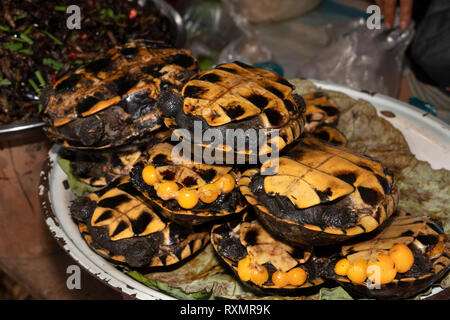 Kambodscha, Phnom Penh, Oudong, Lebensmittelmarkt, Bush Fleisch, Wild längliche Schildkröten zum Verkauf zu Essen gekocht Stockfoto