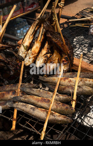 Kambodscha, Phnom Penh, Oudong, Lebensmittelmarkt, gegrillten Fluss Fisch in Bambus zur Veräußerung gehalten zu essen Stockfoto