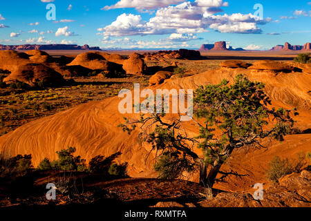 Mystery Valley, Utah (Monument Valley) Stockfoto