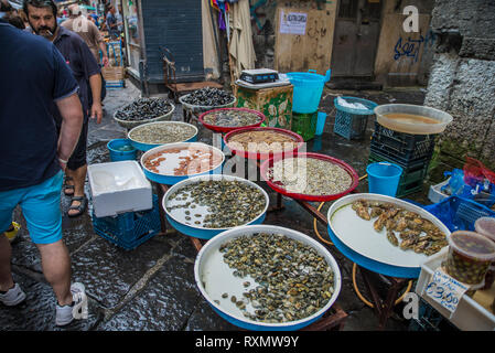 Neapel, Italien - 15. August 2015: Einblick auf dem Fischmarkt von Neapel. Viele Muscheln und Schnecken zum Verkauf. Stockfoto