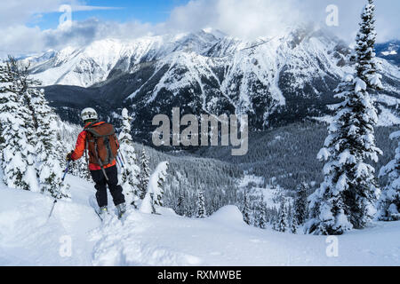 Eine weibliche Skier im Backcountry, Fernie, British Columbia, Kanada Stockfoto